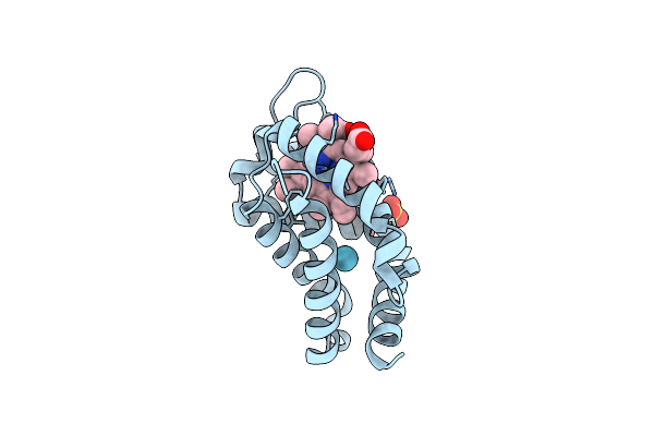 3GKT image