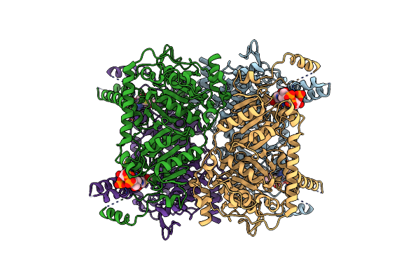 3GLM image