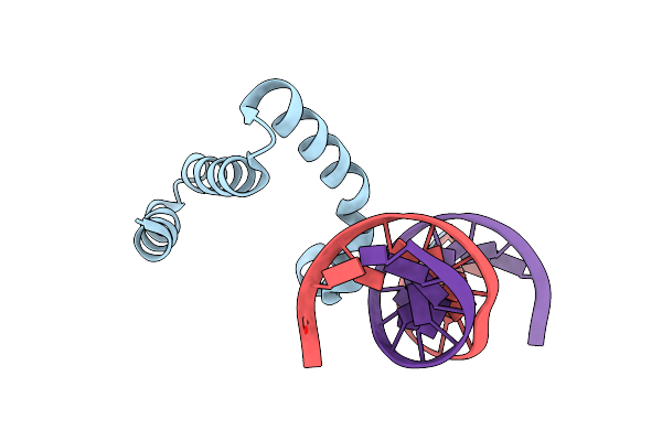 3GNB image