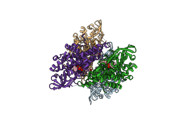 3GNC image