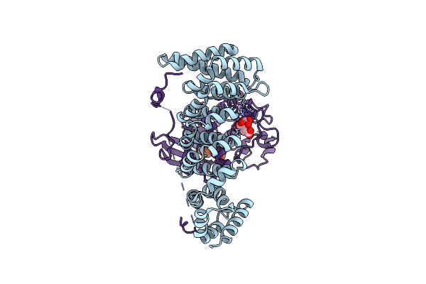 3GNI image