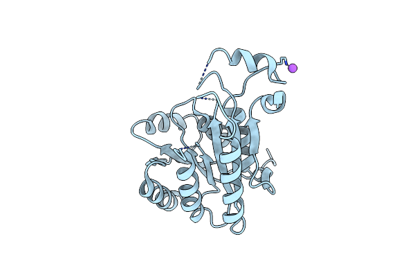 3GNS image