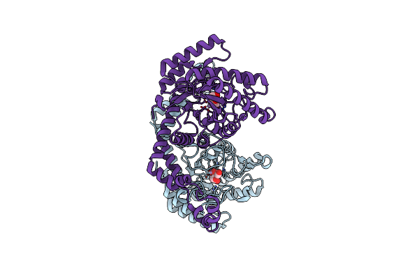 3GNX image