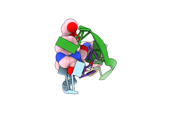 3GO3 image
