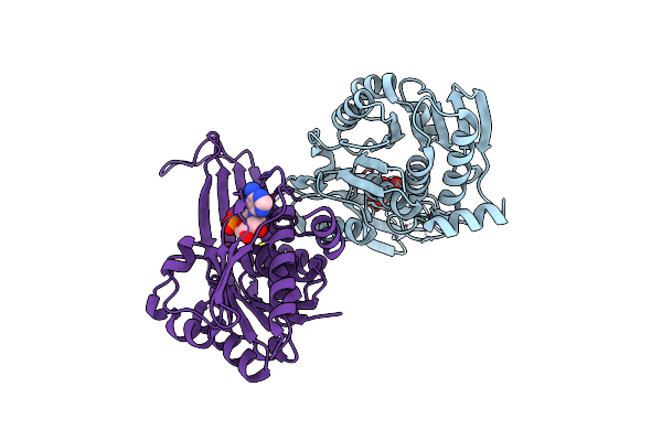 3GO6 image