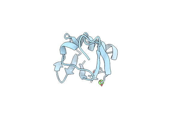 3GOE image