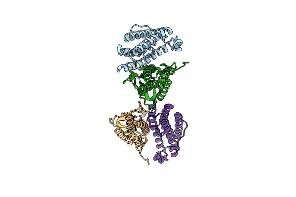 3GOR image