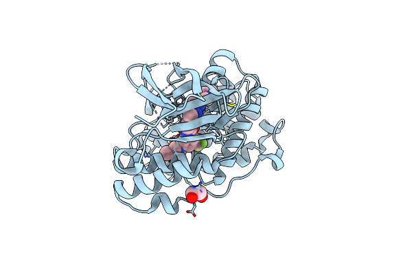 3GP0 image