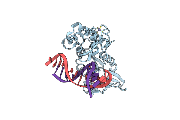 3GP1 image