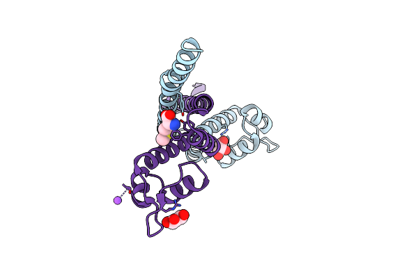 3GP4 image
