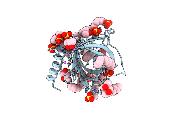 3GP6 image