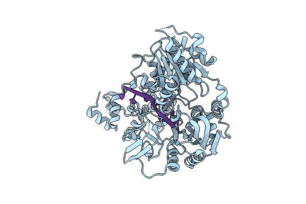 3GP8 image