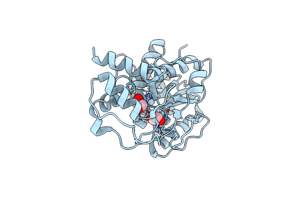 3GPI image