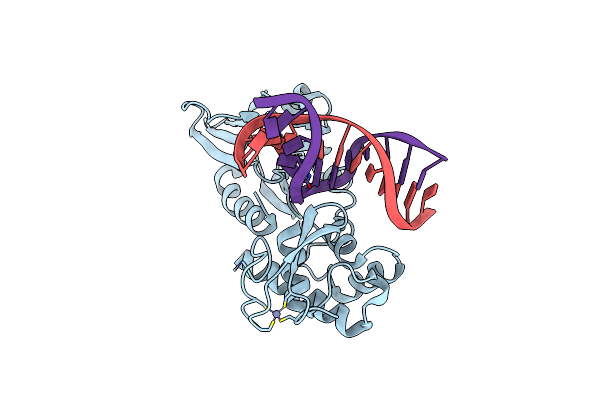 3GPP image