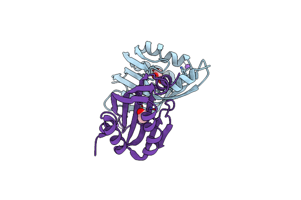 3GRD image
