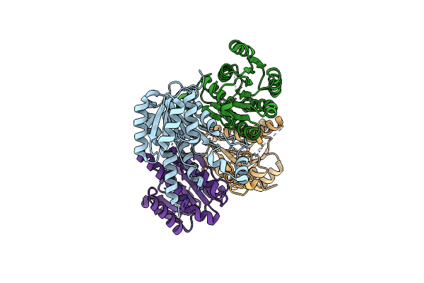 3GRP image