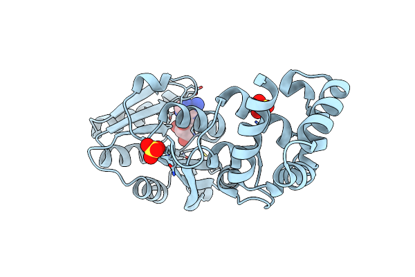 3GRV image