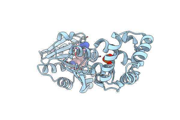 3GRY image