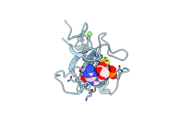 3GSP image