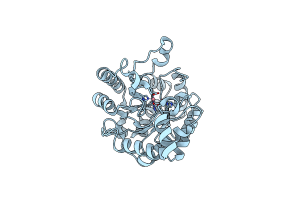 3GTF image