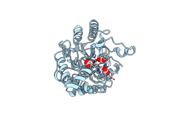 3GTH image