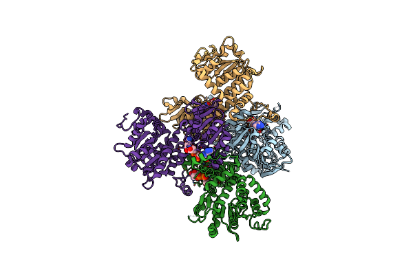 3GVP image