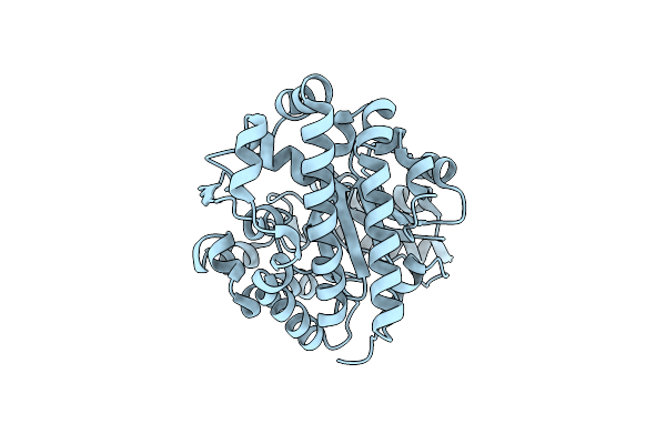 3GVR image