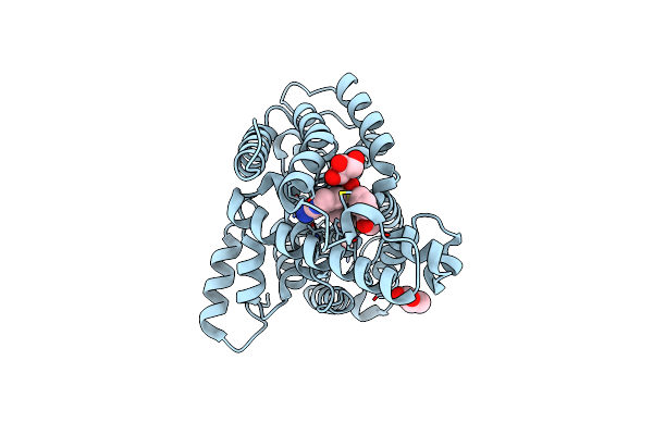 3GWT image