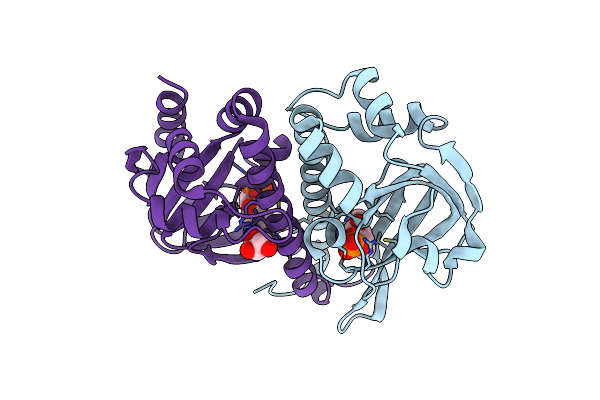 3GYD image
