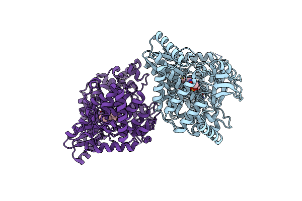 3GYN image