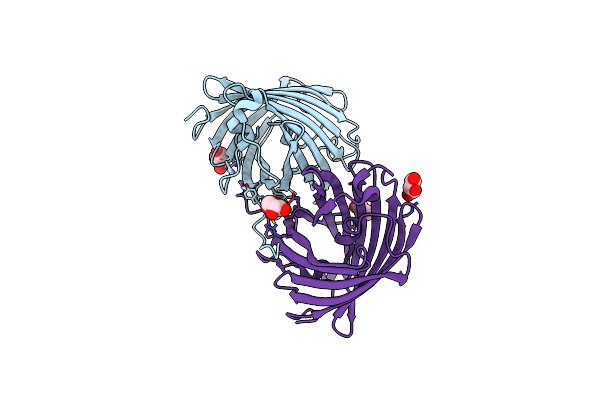 3H1O image