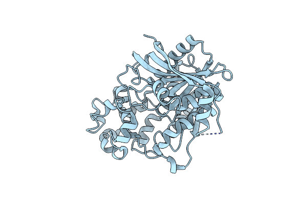 3H2H image