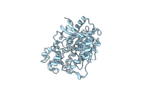 3H2I image