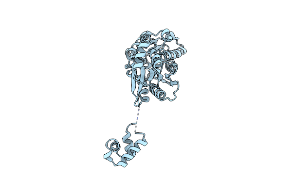 3H5T image