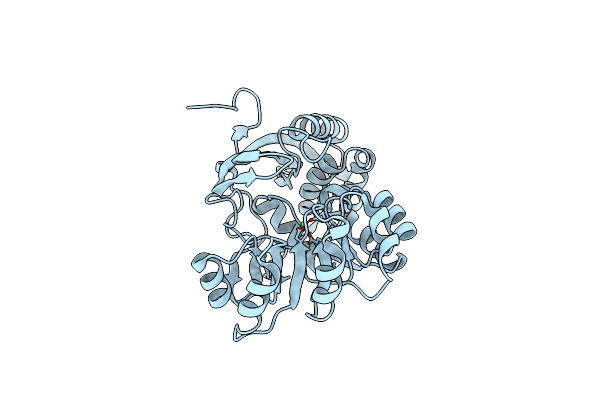 3H70 image