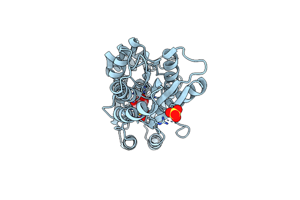 3H75 image