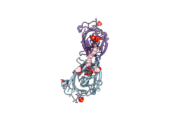 3H8T image