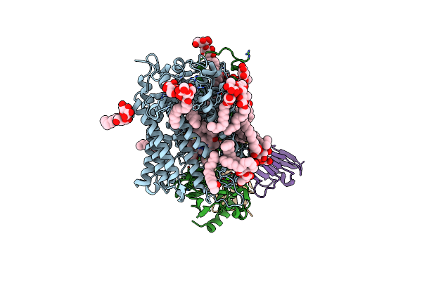 3HB3 image