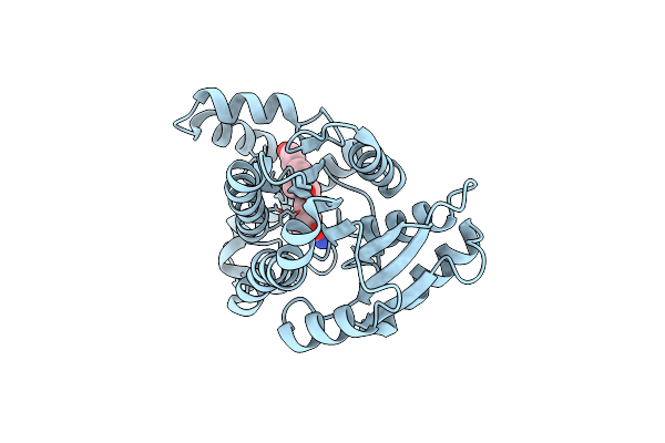 3HB4 image