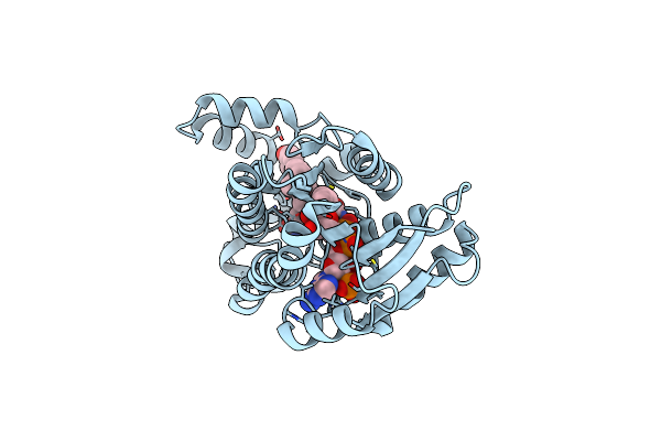 3HB5 image