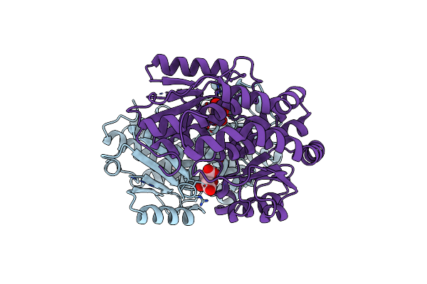 3HBA image