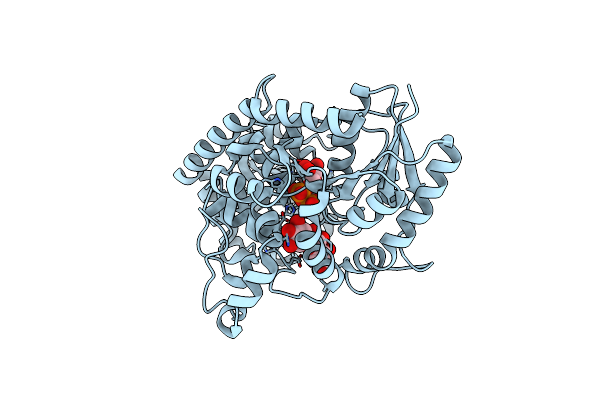 3HBF image