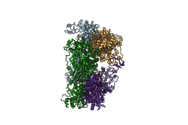 3HBL image