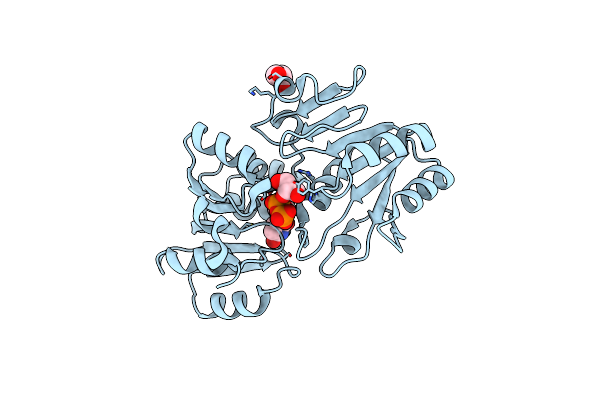 3HBN image