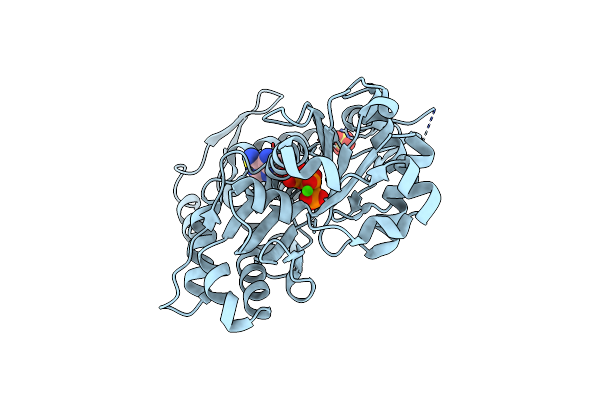 3HBT image