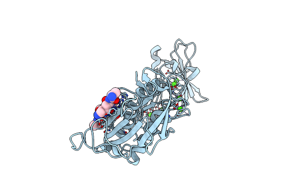 3HBV image