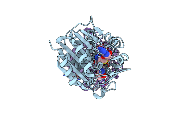 3HCA image