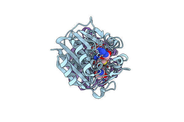 3HCE image