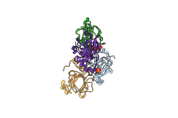 3HCG image