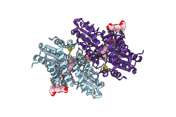3HCP image